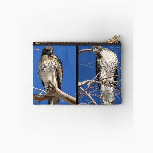 Item preview, Redtailed Hawks ~ Final Goodbye designed and sold by Luck of the Shutter.