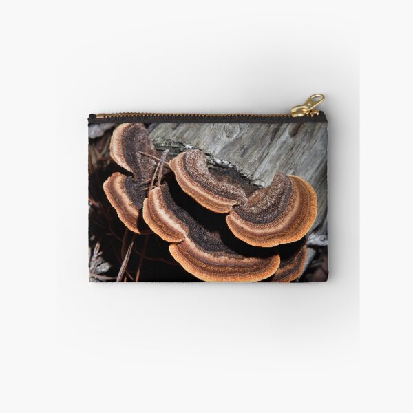 Artikelvorschau, Fungi entworfen und verkauft von Colin Ewington.