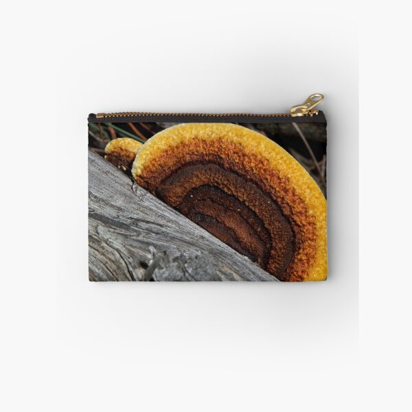 Artikelvorschau, Fungi entworfen und verkauft von Colin Ewington.