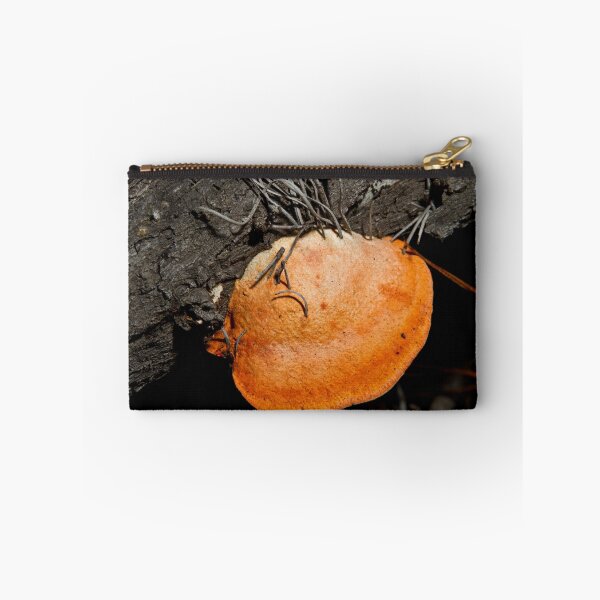 Artikelvorschau, Fungi entworfen und verkauft von Colin Ewington.