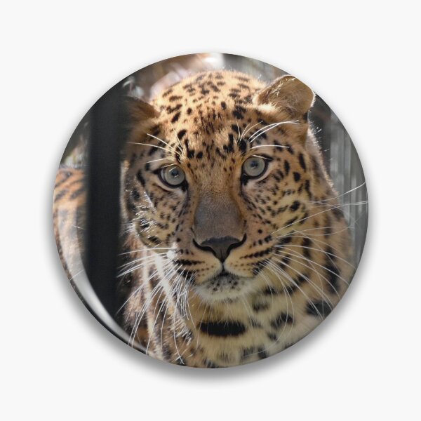 Item preview, Leopard designed and sold by KRDCREATIONS.