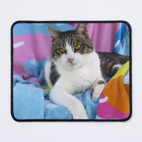Item preview, Beach Blanket Cutie designed and sold by Frankie Cat Photography.
