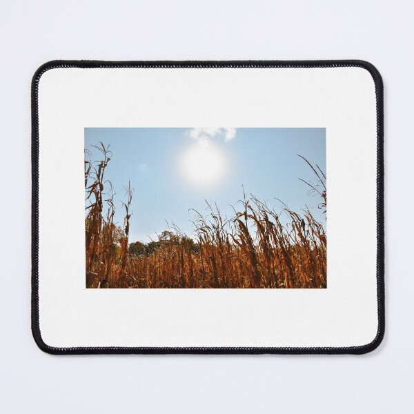 Item preview, Corn field designed and sold by KRDCREATIONS.