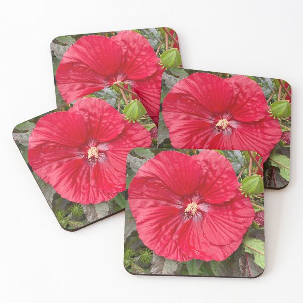 Artikelvorschau, Roter Hibiskus entworfen und verkauft von KRDCREATIONS.