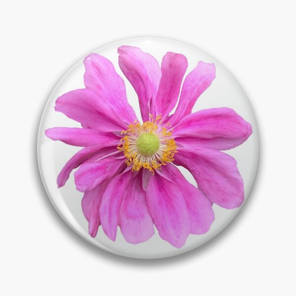 Item preview, Pink Anemone Flower Still Life Floral Photography designed and sold by CottoVerdi.