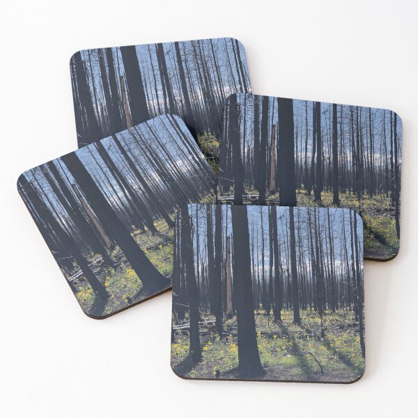 Item preview, Medicine Bow National Forest designed and sold by WyColoGal.