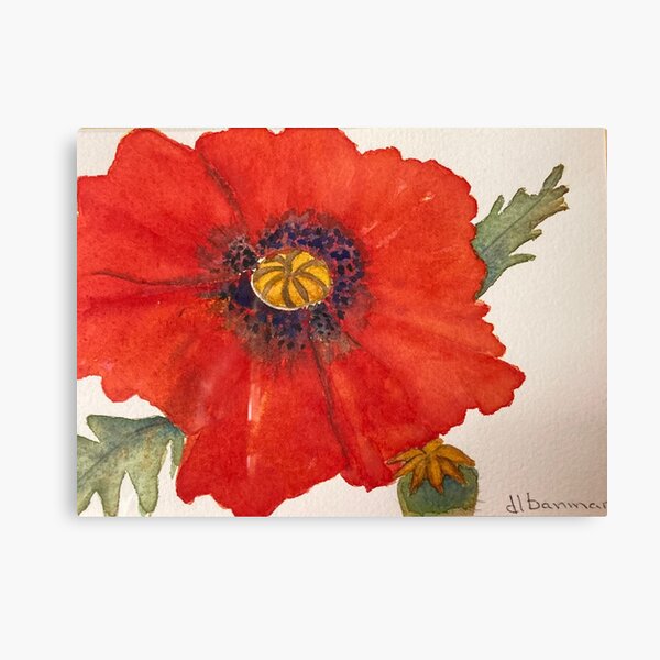 #26 Poppies Canvas Print