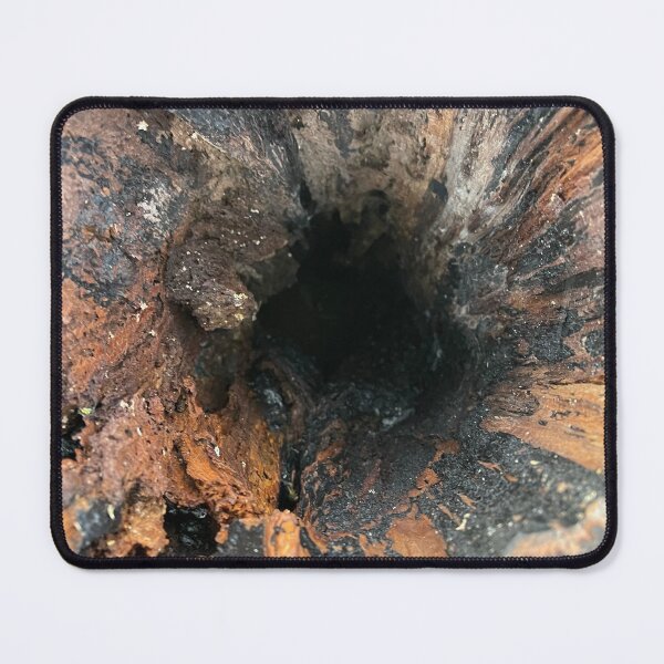 Item preview, Inside a rotting tree designed and sold by Kolynn1213.