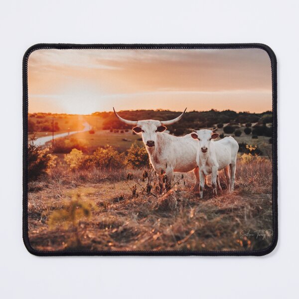 Item preview, Longhorn Pair designed and sold by SouthernTwang.
