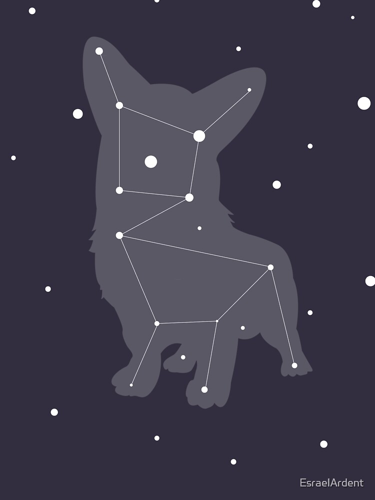 Corgi Constellation by EsraelArdent