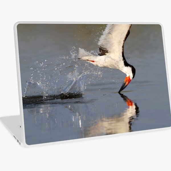 Black Skimmer Laptop Skin