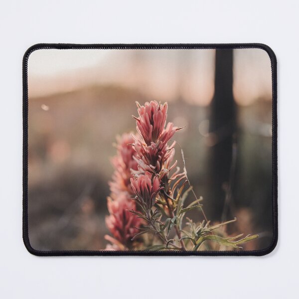 Item preview, Indian Paintbrush designed and sold by SouthernTwang.