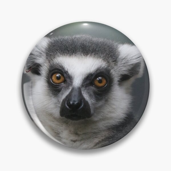 Item preview, Lemur  designed and sold by Lilysphotos78.