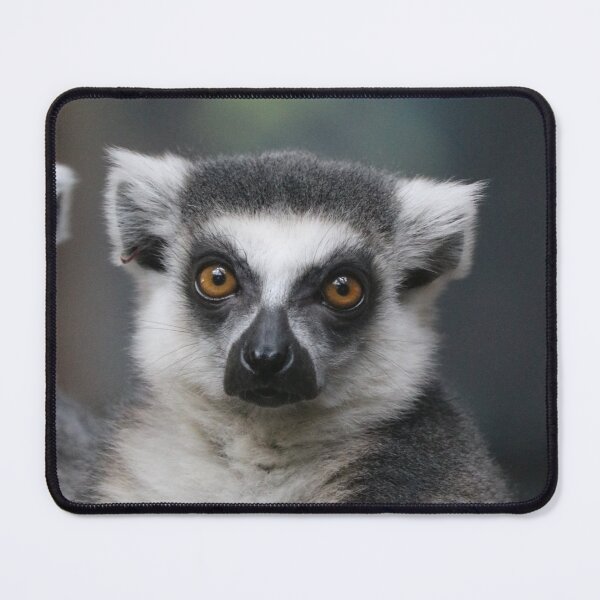 Artikelvorschau, Lemur entworfen und verkauft von Lilysphotos78.