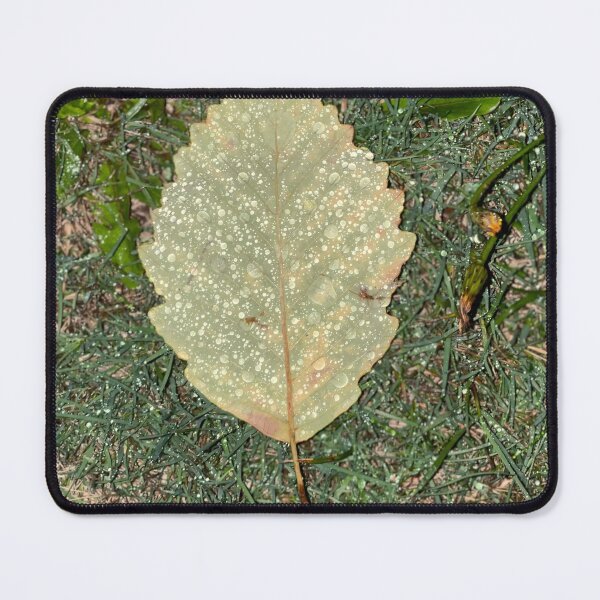 Item preview, Raindrops on a fallen leaf designed and sold by Kolynn1213.