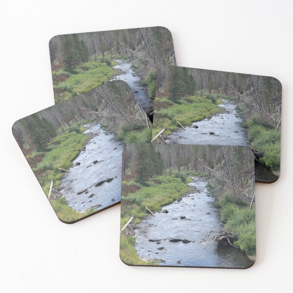 Item preview, Medicine Bow National Forest WY designed and sold by WyColoGal.