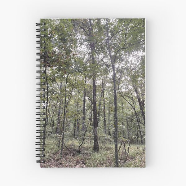 Item preview, Tall Oaks designed and sold by Themoneyshot.
