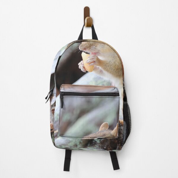 Item preview, Chipmunk designed and sold by Lilysphotos78.