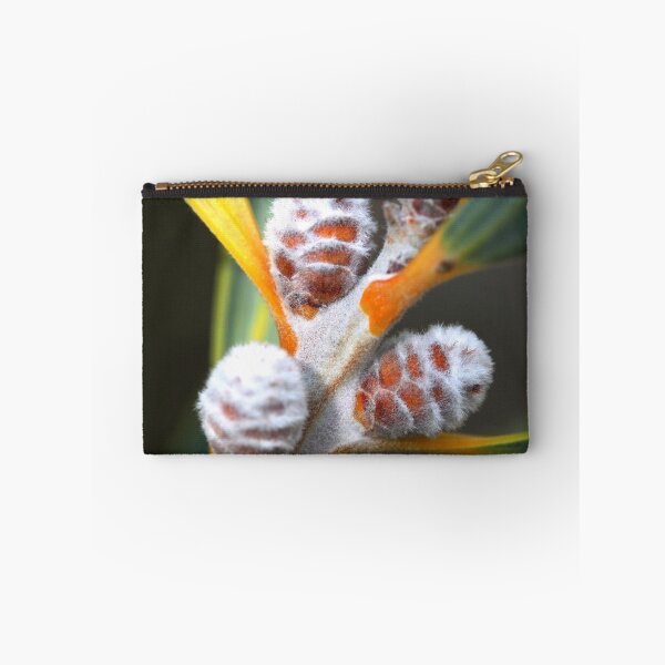 Item preview, Hakea cinerea designed and sold by andrachne.