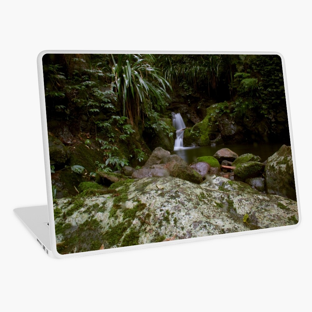 Item preview, Laptop Skin designed and sold by smallan.