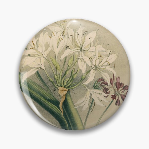 Item preview, South Australian Botany - native flowers designed and sold by State Library of South Australia.