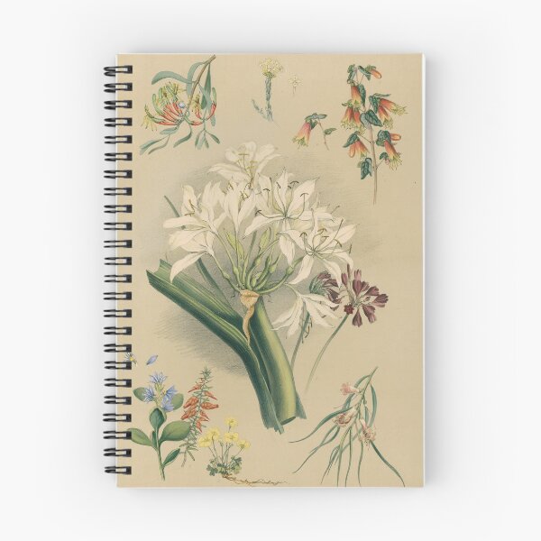 Item preview, South Australian Botany - native flowers designed and sold by State Library of South Australia.