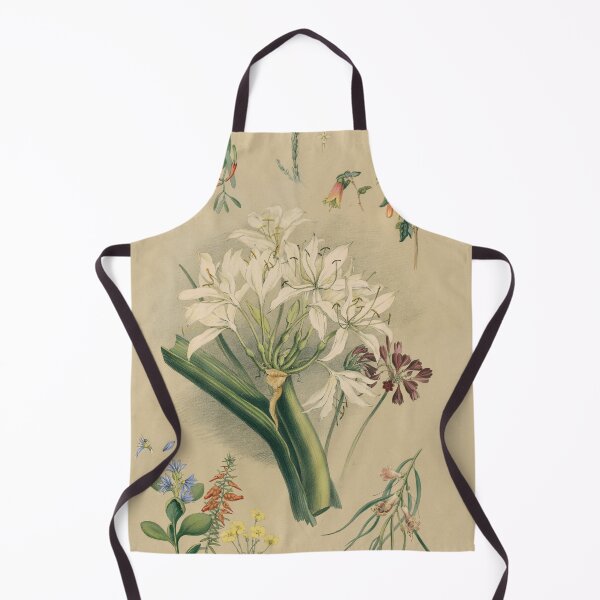 Item preview, South Australian Botany - native flowers designed and sold by State Library of South Australia.