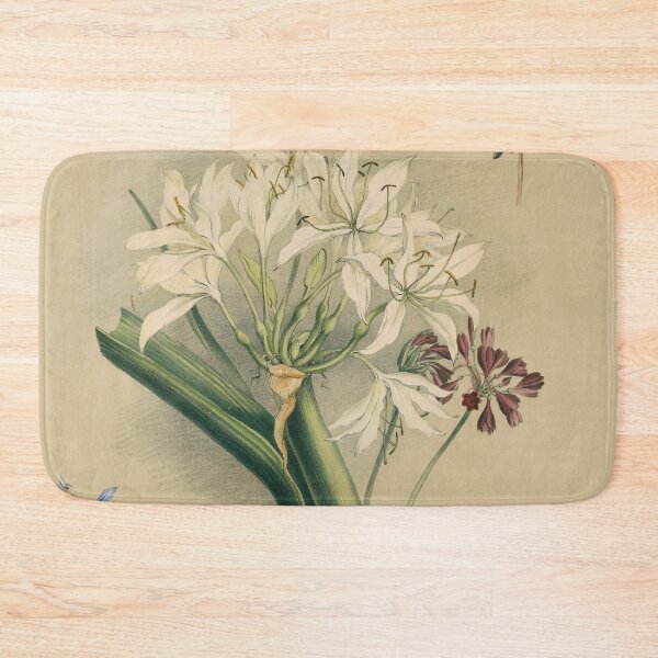 Item preview, South Australian Botany - native flowers designed and sold by State Library of South Australia.