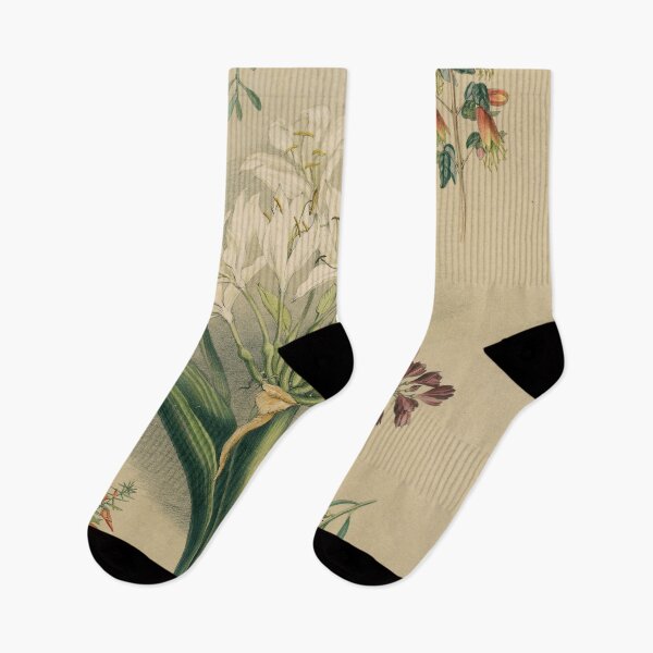 Item preview, South Australian Botany - native flowers designed and sold by State Library of South Australia.