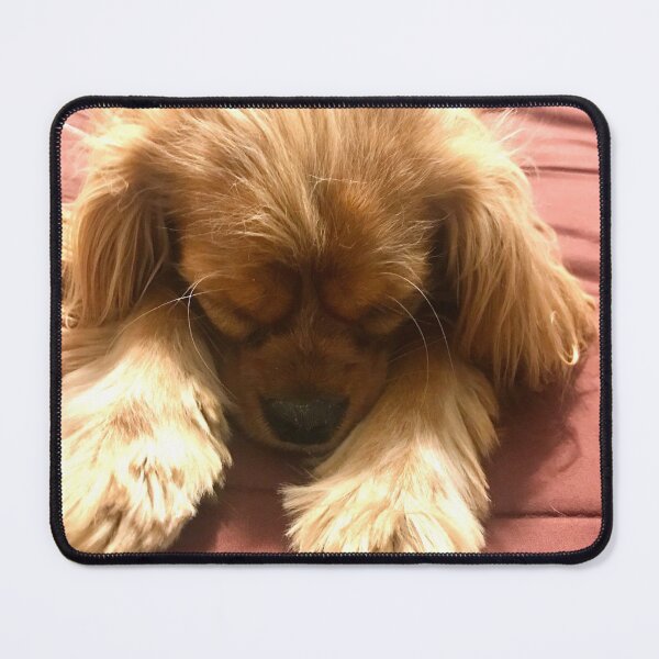 Item preview, Resting pup designed and sold by lpolitano.