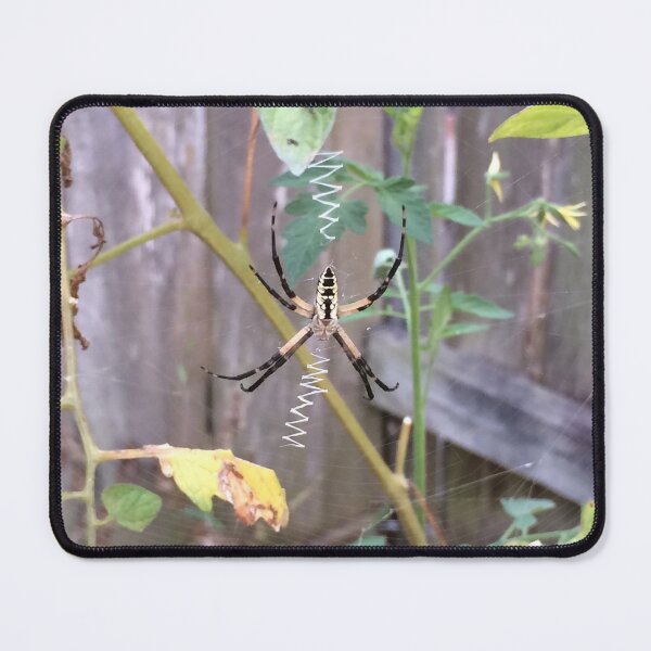 Item preview, Closeup of Spider in Web designed and sold by VintageStyle.