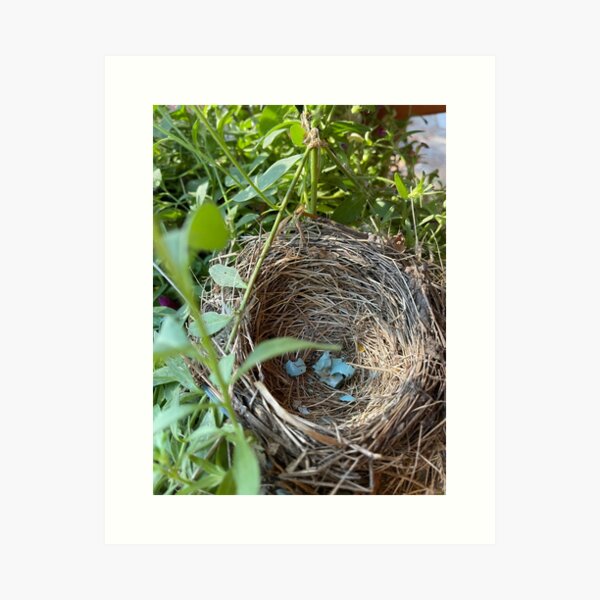Item preview, Robin’s nest  designed and sold by Kolynn1213.