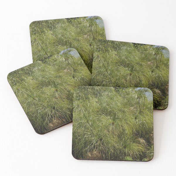 Item preview, CYPERUS papyrus  designed and sold by Margaret Stevens.