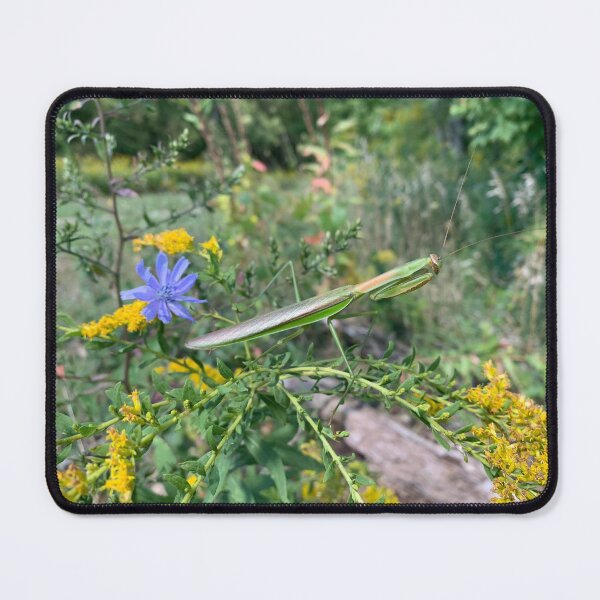 Item preview, Beautiful Mantis designed and sold by lisapicklepizza.