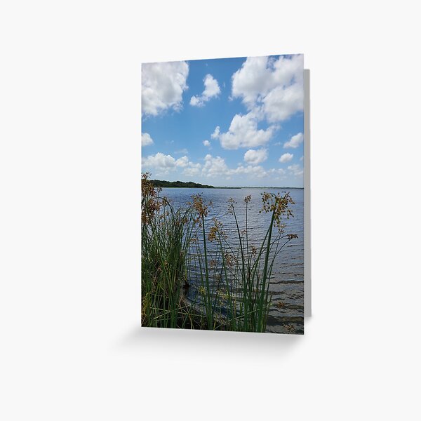 Ocean beauty Greeting Card