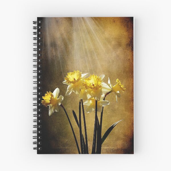 Item preview, Spring Sun designed and sold by Lois  Bryan.