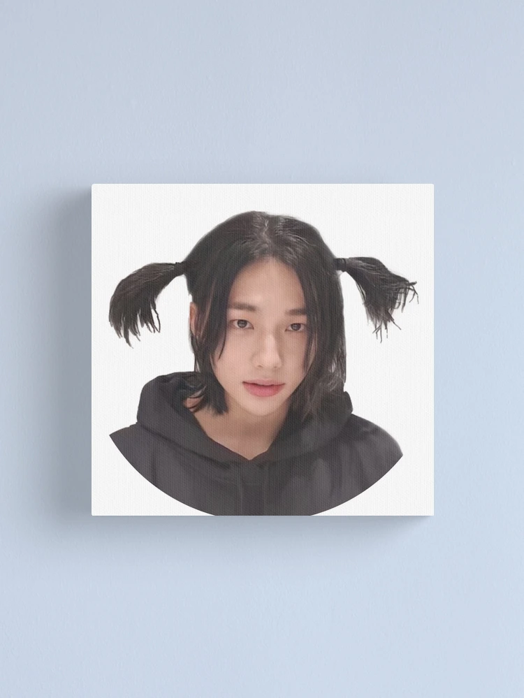 Stray Kids - Hyunjin - Pig Tails Cute Hair - Circle Cut iPad Case