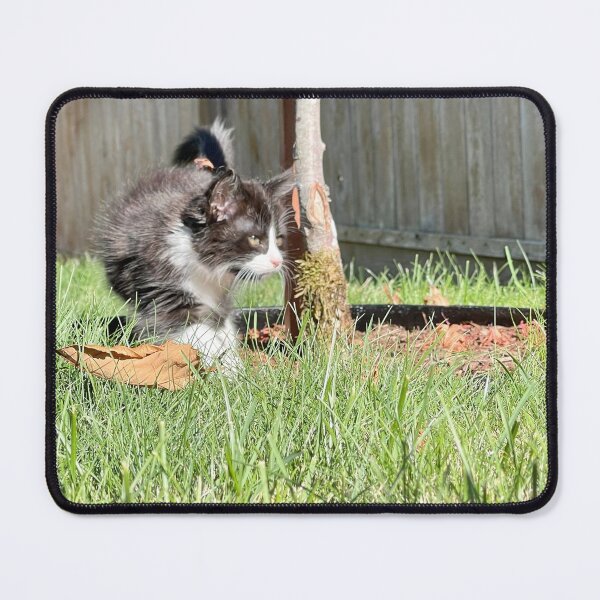 Item preview, Kitten on the hunt designed and sold by JaksShop.