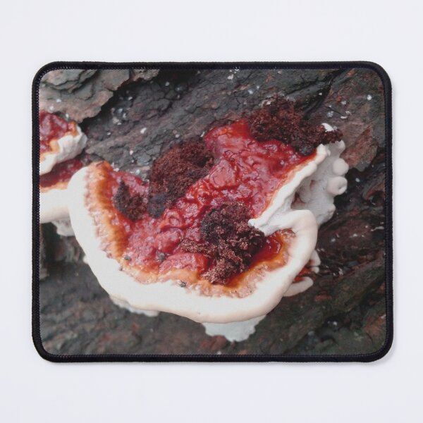 Item preview, brightly coloured mushroom designed and sold by PastelHellhound.