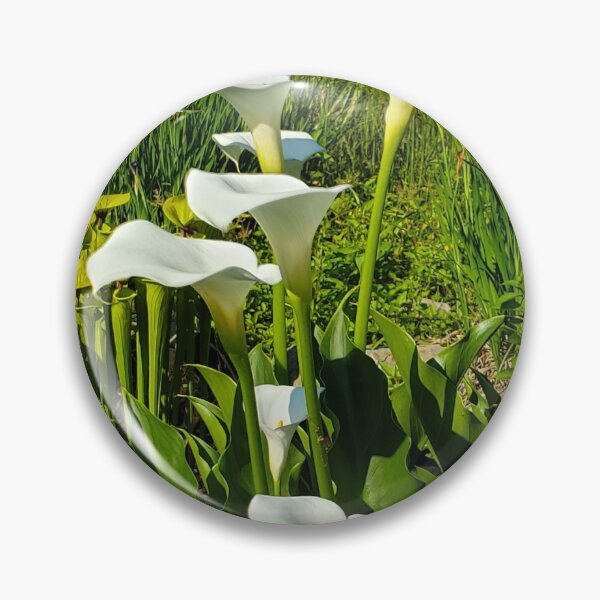 Item preview, Calla Lilly designed and sold by ImagiNatureDay.