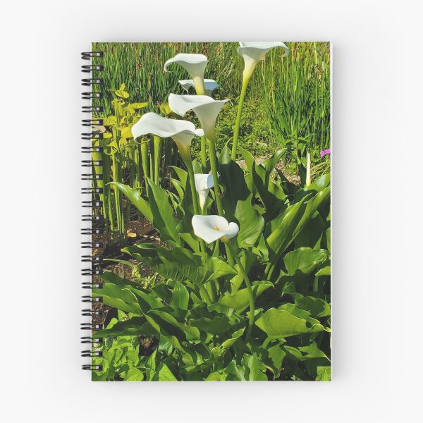 Item preview, Calla Lilly designed and sold by ImagiNatureDay.