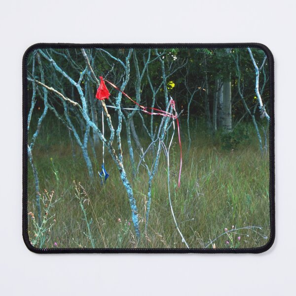 Item preview, So That's Where My Balloons Landed designed and sold by Bill Spengler's Photographic Thoughts.