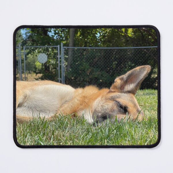 Item preview, Lazy dog designed and sold by JaksShop.