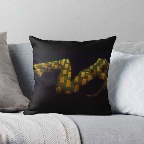 Conclusion - Photo Art Throw Pillow
