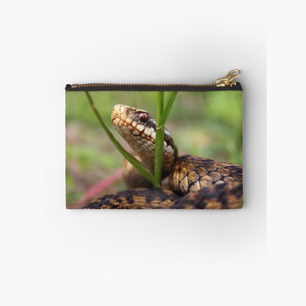 Item preview, Adder designed and sold by Robbie Labanowski.