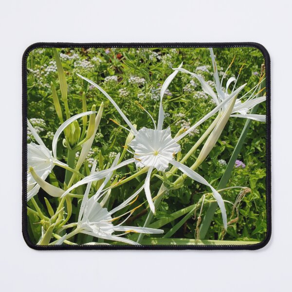 Item preview, Green Tinge Spiderlily designed and sold by ImagiNatureDay.