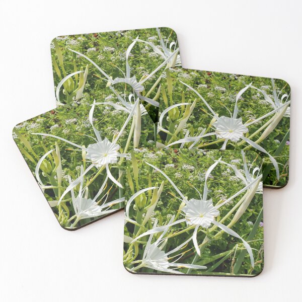 Item preview, Green Tinge Spiderlily designed and sold by ImagiNatureDay.