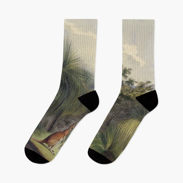 Item preview, Grass trees at Yankallilla with the red kangaroo designed and sold by State Library of South Australia.