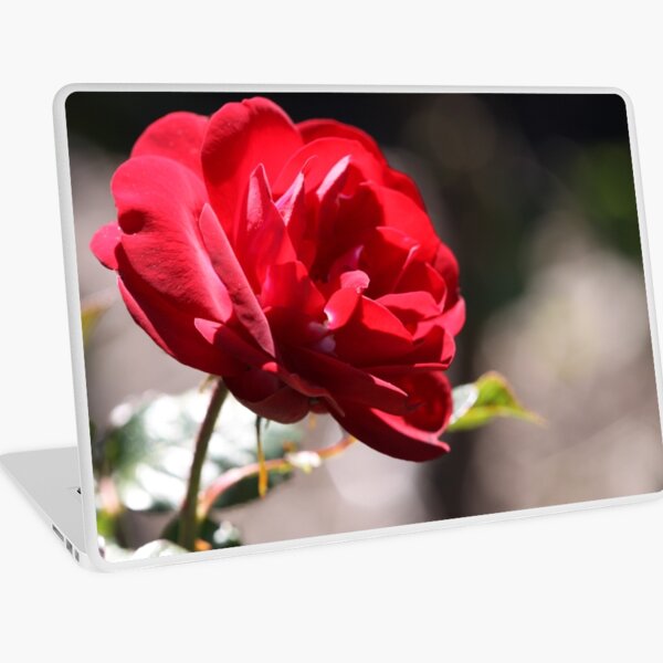 For You. Laptop Skin