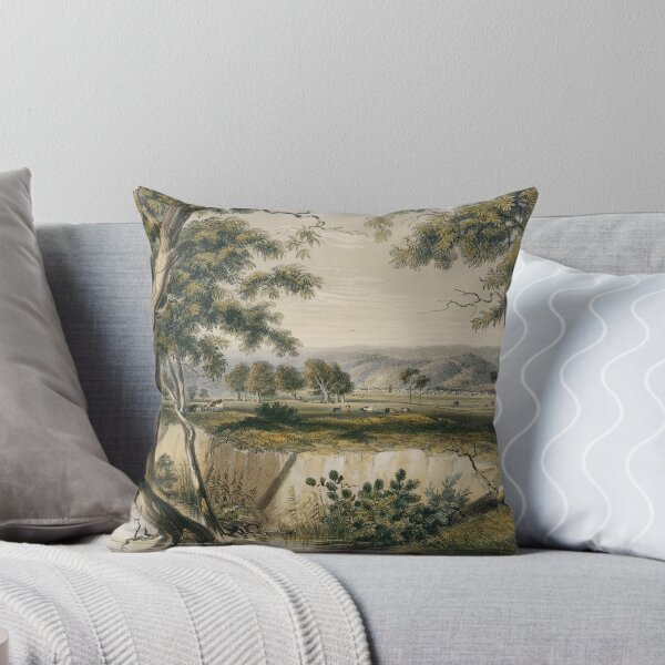 Item preview, The City of Adelaide, from the Torrens near the Reed Beds  designed and sold by State Library of South Australia.